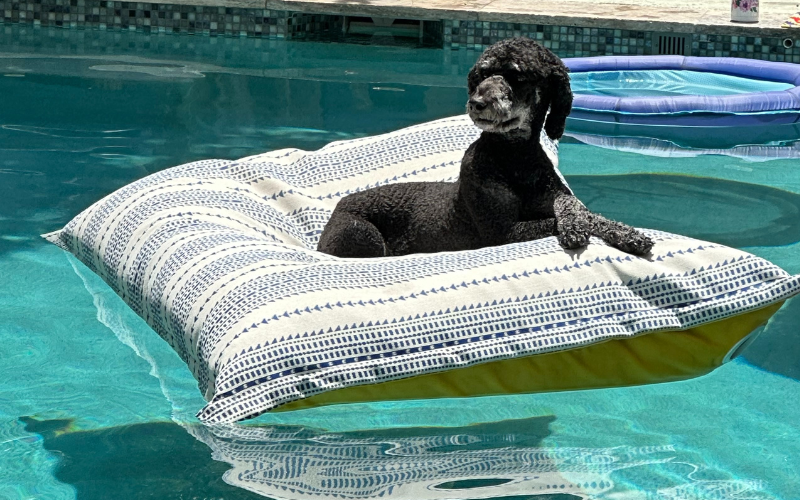 Quiet Vacationing: The Real Benefits of Taking Time Off